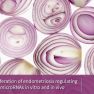 Anti-proliferative and anti-inflammatory effects of