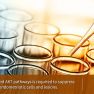 Can we Inhibit the Survival of Endometriosis?