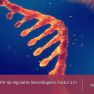 The role of circulating microRNA's in Endometriosis 