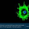 Endometrial single cells to contribute preexisting endometriosis.