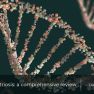 The genetic predisposition to endometriosis