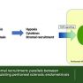 Analogous pathways of  peritoneal tumor wound healing and endometriosis.