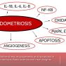 The role of inflammation, oxidative stress, angiogenesis, and apoptosis in the pathophysiology of endometriosis