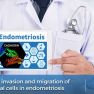 Does T-cadherin have a role in endometriosis?