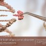 The genetic mutations in uterine adenomyosis