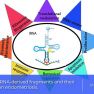 tRNA-derived fragments in ovarian endometriosis?