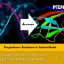 miR-92a and progesterone resistance in endometriosis