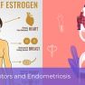 Estrogen Receptors and Endometriosis: What do we know now?