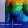 Endometriosis Impacts Transgender Adolescents