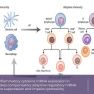 Enhanced local and systemic inflammatory cytokine mRNA expression in women with endometriosis 