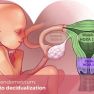 Endometrium and HOXA 10 gene