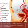 Osteopontin and Endometriosis