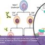 Promising potential research topic: diagnostic biomarkers for endometriosis