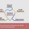 Body Mass Index and indicators of metabolic syndrome in women with Endometriosis