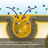 Inflammatory and genetical background of endometriosis may yield new therapeutic approaches