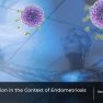 Full understanding the role of nervous system in endometriosis could yield new gateways to novel therapeutic approaches