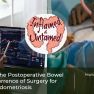  Postoperative outcomes of deep intestinal endometriosis surgery.