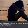 Estradiol metabolism, endometriosis and migraine