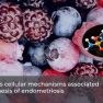 The effects of resveratrol on endometriotic cells