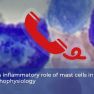 A call for mast cells from endometriotic lesions