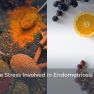 Is endometriosis an oxidative stress-induced inflammation?