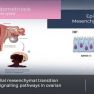 Molecular Alterations in Ovarian Endometriosis
