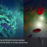 Activities of cytotoxic cells in endometriosis