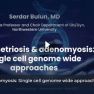 Epigenetic defects of stromal cells in endometriosis and adenomyosis lead to estrogen sensitivity