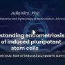 Endometriosis disease modelling via induced pluripotent stem cells has been successful