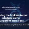 ​Modeling the feto-maternal interface using pluripotent stem cells 