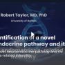 Neuroendocrine pathway in endometriosis-related infertility