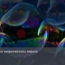 Spheroids: 3D-mini-models for Understanding Endometriosis