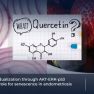 Quercetin and its effects on endometriosis