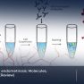 Hot research in endometriosis; new vessel formation: angiogenesis