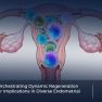 Stem cells may open new horizons in various gynecological disorders