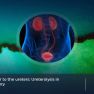 Key Aspects of Ureterolysis in deep endometriosis surgery