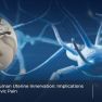  Uterine innervation and its impact on endometriosis related pelvic pain.