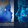 Genetic Insights into Brain Networks and Their Impact on Endometriosis Risk
