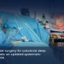 Conservative Bowel Surgery Should Be Prioritized in Endometriosis When Clinically Feasible