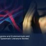 Migraine and Endometriosis: Exploring a Comorbid Link
