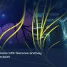 Pelvic nerve endometriosis: Diagnostic and treatment insights.