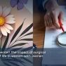 Comparing Surgical and Non-Surgical Outcomes in Ovarian Endometriosis